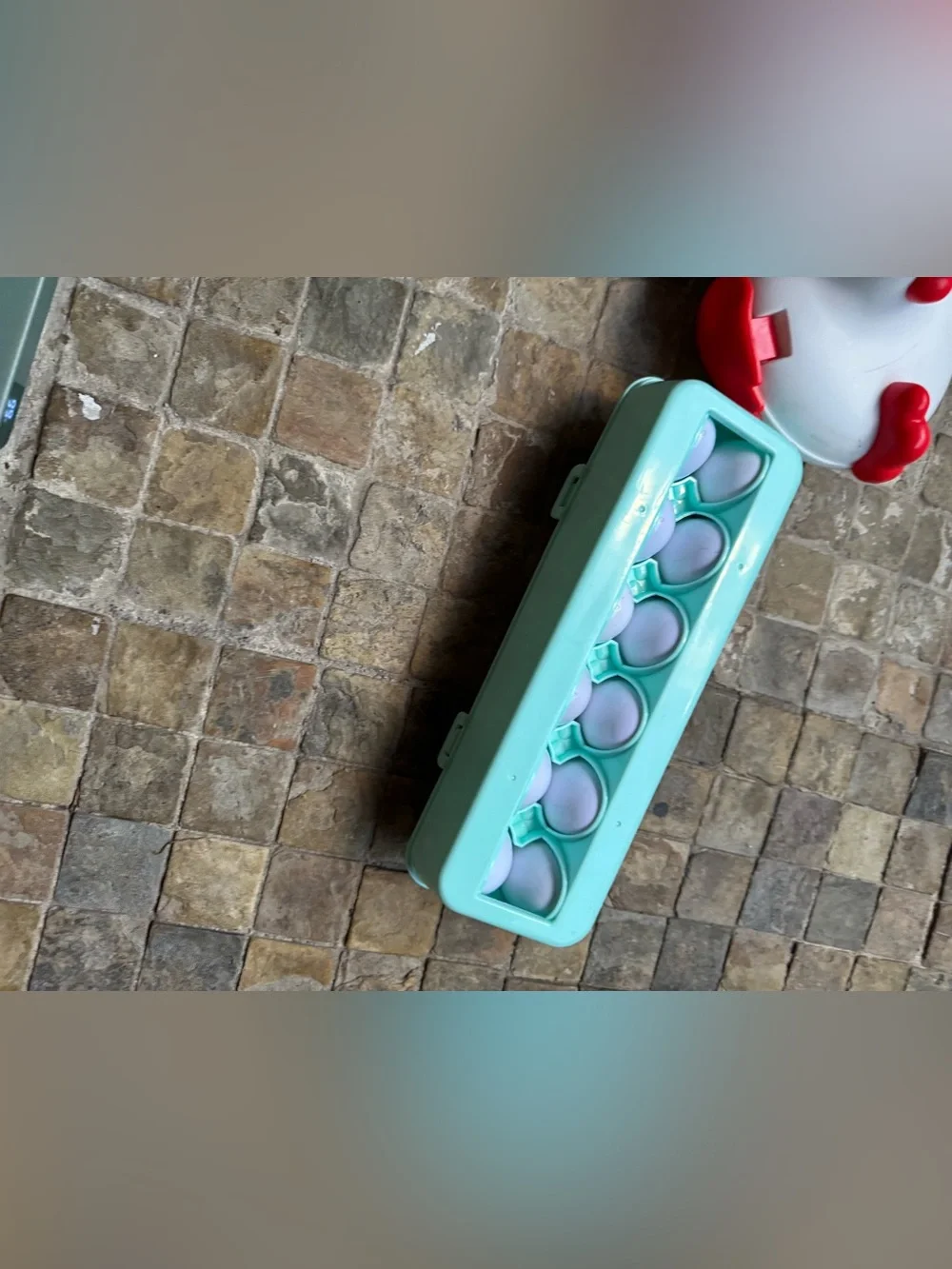 Interactive Teal and White Chicken Egg Toy Set for Kids